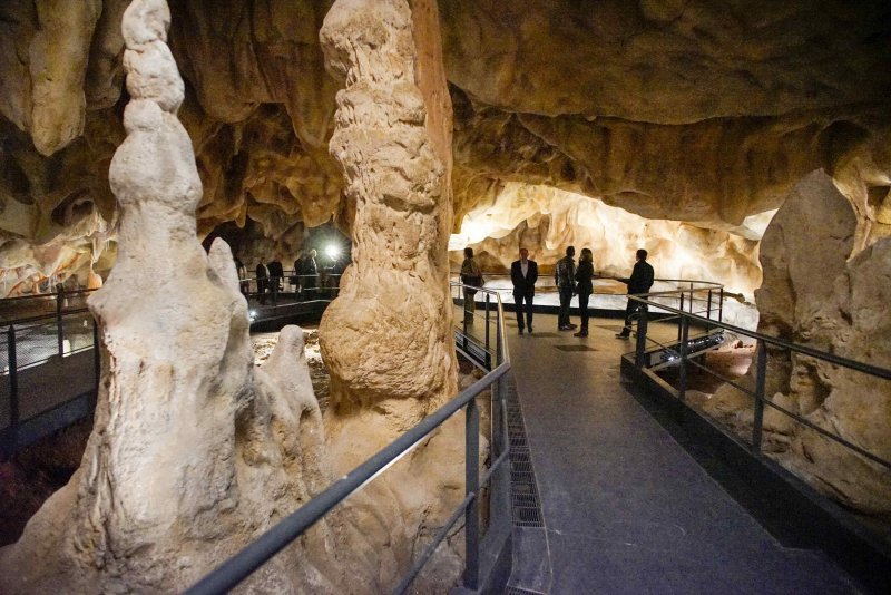 Пещера Шове мамонт