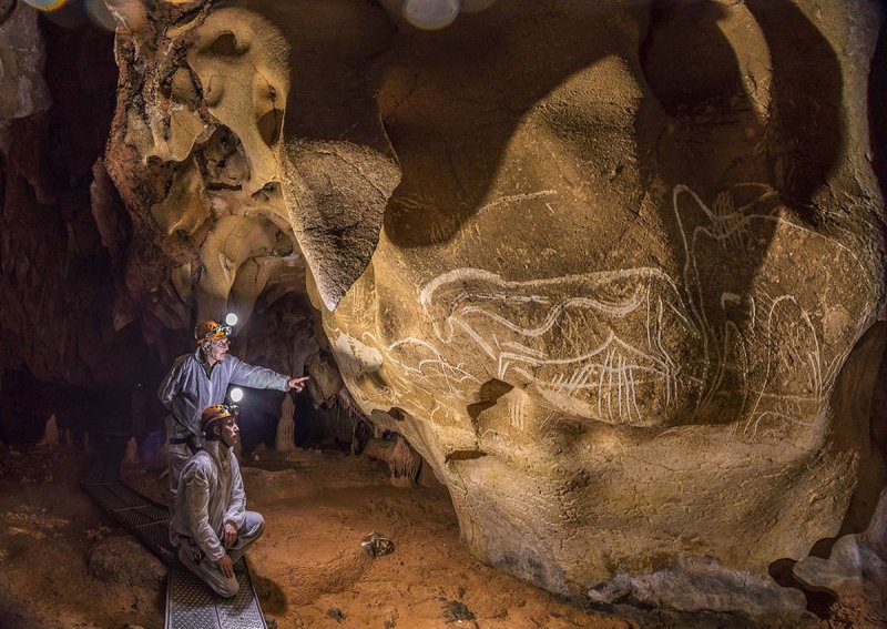 Пещера Шове Наскальная живопись