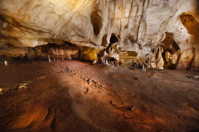 Пещерная галерея Шове