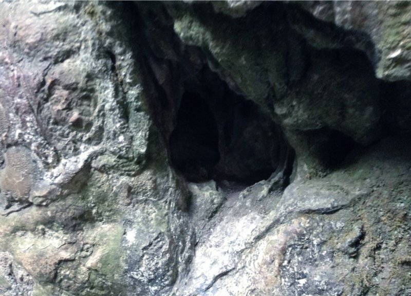 Диктейская пещера сталактит
