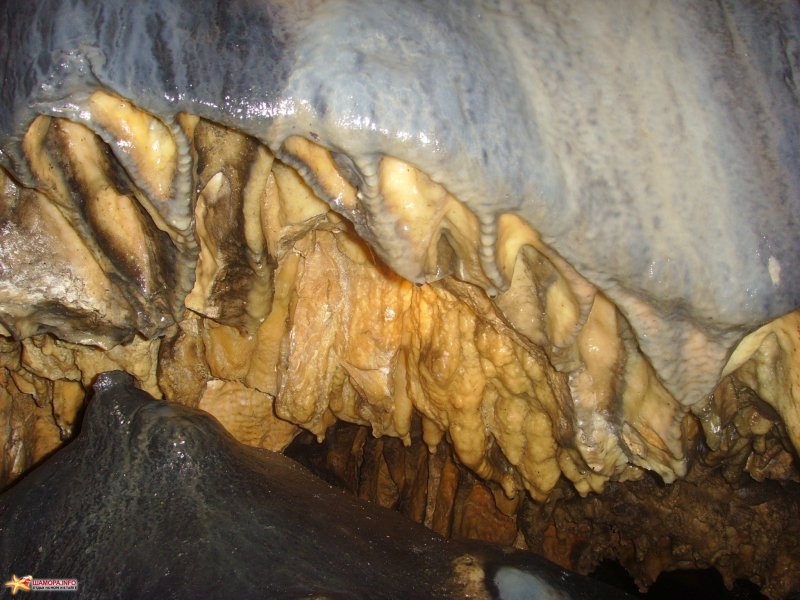Мокрушинская пещера Ольгинский район