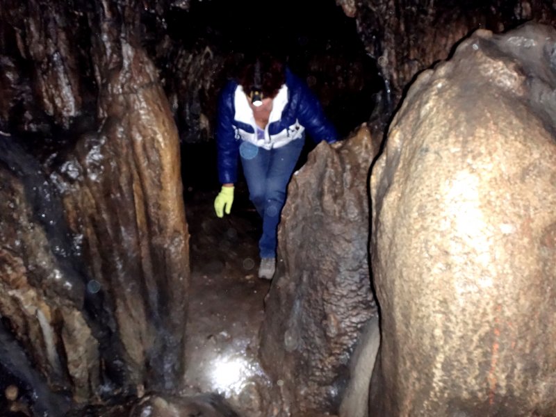 Ракушка Приморский край пещера