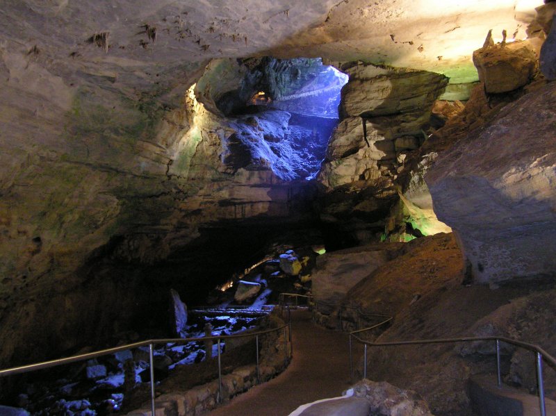 Карлсбадские пещеры насекомые