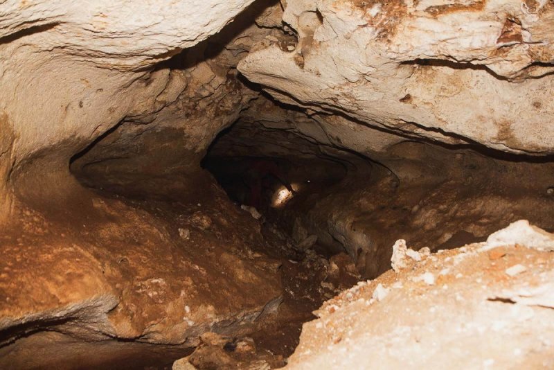 Пещера Таврида в Крыму находки
