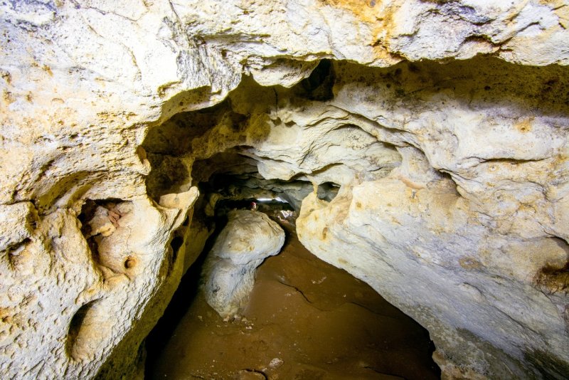 Находки пещеры Таврида