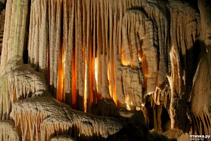 Пещера Сонора Техас