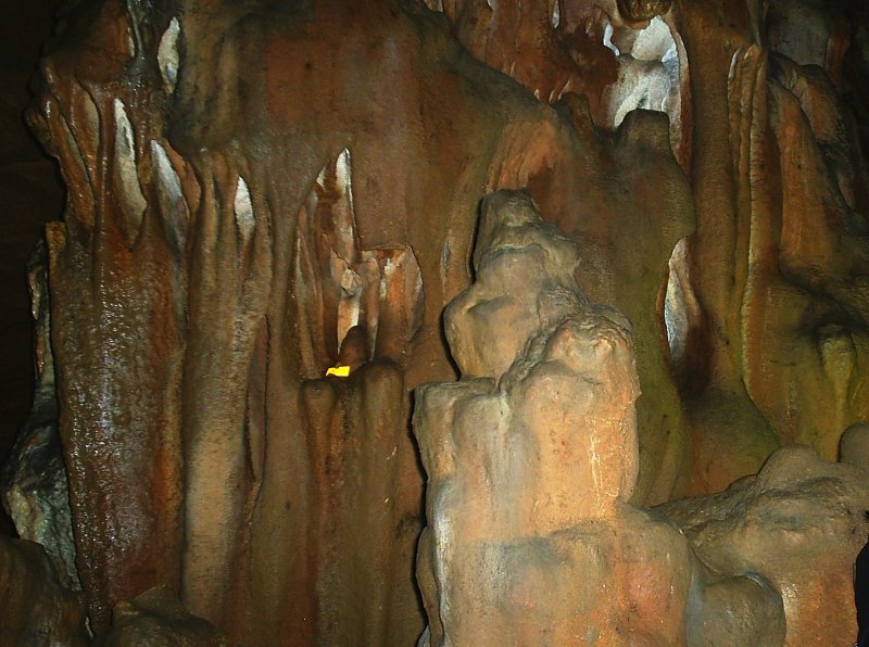 Скельская пещер органный зал