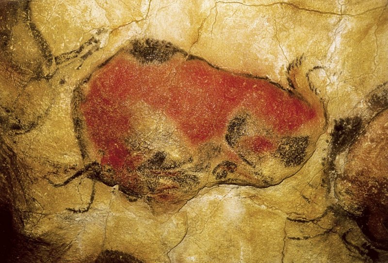 Бизон палеолит пещера Альтамира
