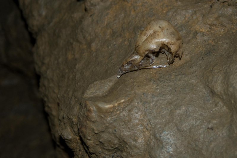 Пещера в Гаграх