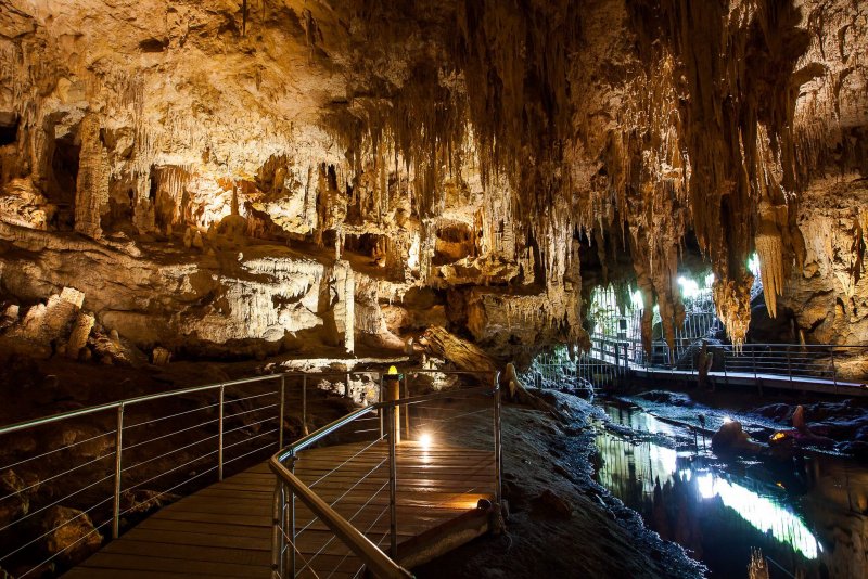 Мамонтова пещера Кентукки