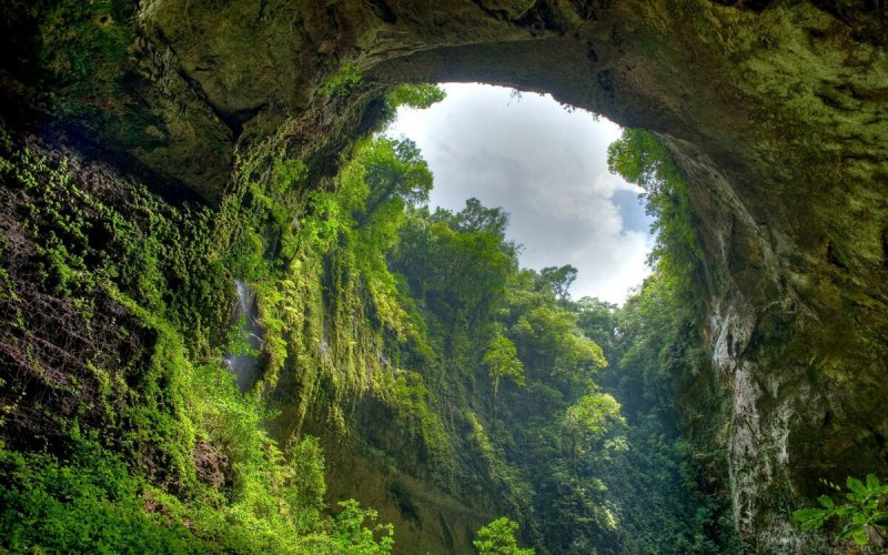 Пещера ласточек