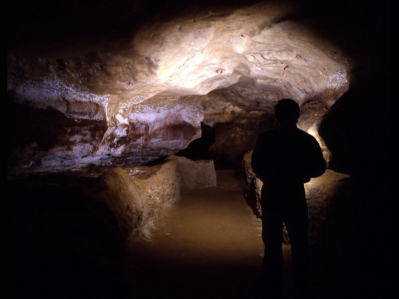 Пещера Ласко апсида