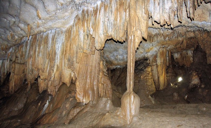 Пещера чешуеборода