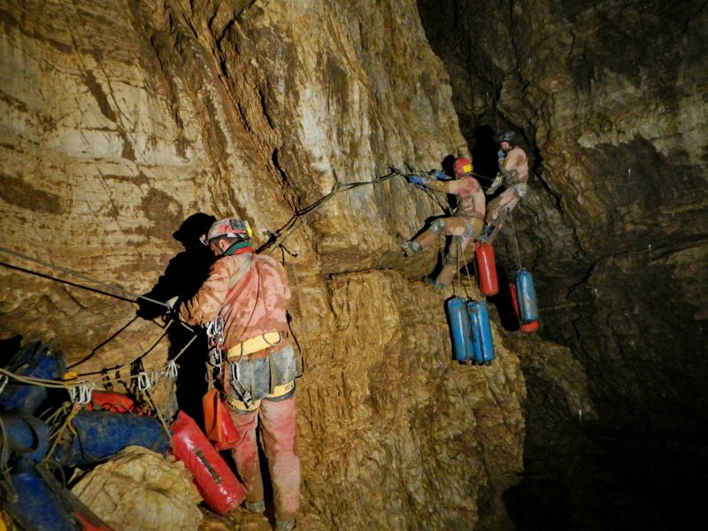 Давалиус абусимус Жук из пещеры Крубера Воронья