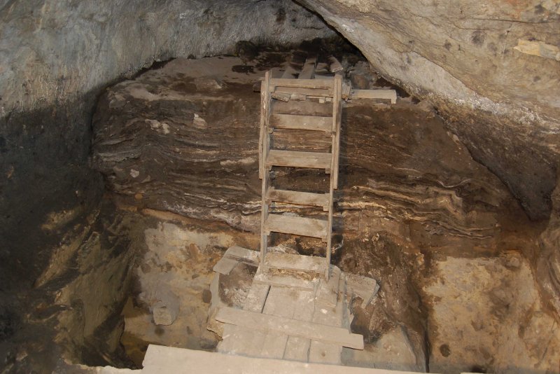 Денисова пещера неандертальцы