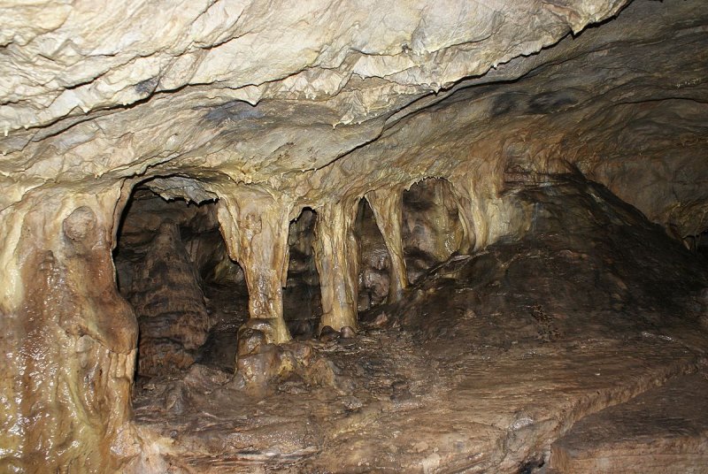 Денисова пещера черный Ануй
