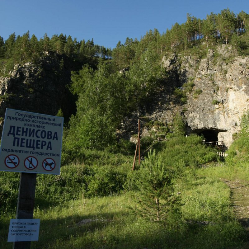 Денисова пещера неандертальцы
