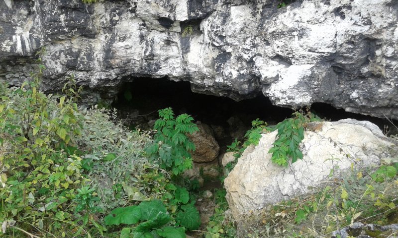 Картинка пещеры 630-1690