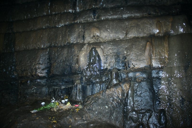 Игнатьевская пещера Шкурник