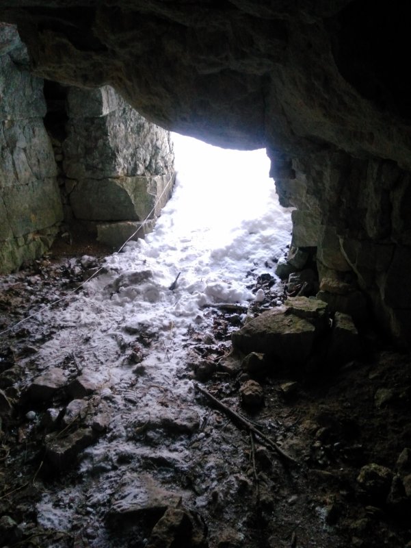 Старица пещера Дохлобарсучья