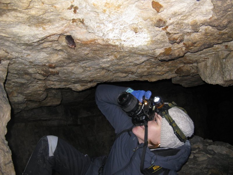 Пещера Лисичка Старицкие Каменоломни