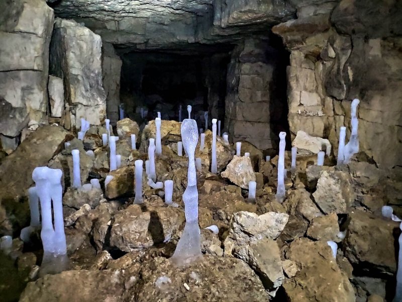 Пещера барсучья Старица