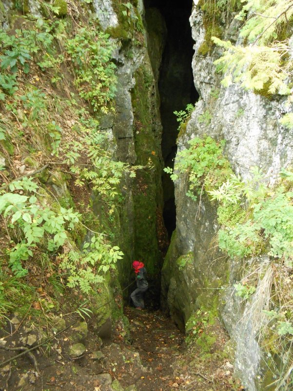 Киндерлинская пещера шкуродер