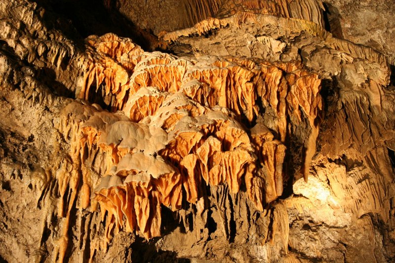 Пещера Альтамира тектиформы