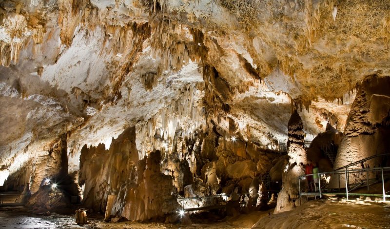 Бизон пещера Альтамира Испания