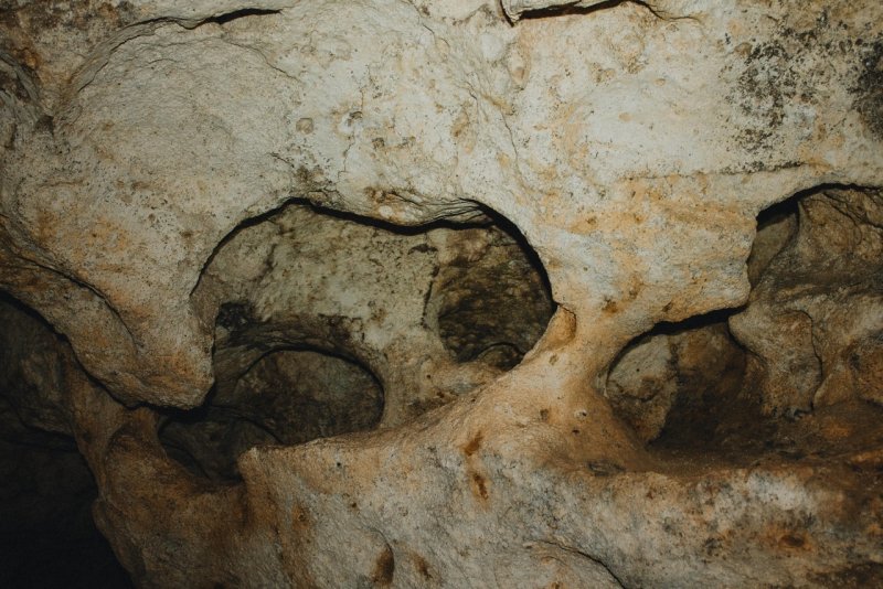 Смолинская пещера летучие мыши