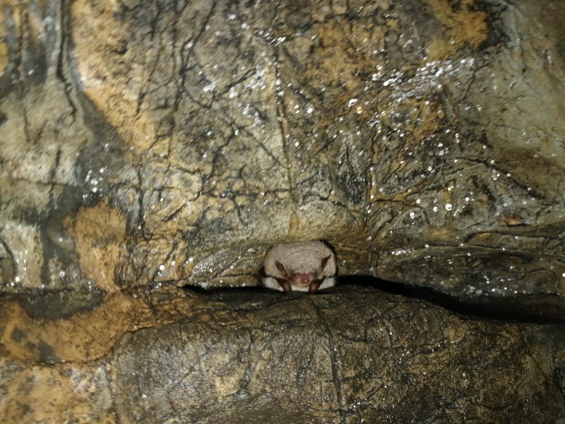 Смолинская пещера внутри