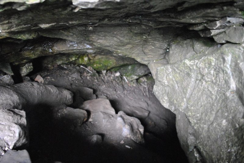 Смолинская пещера мыши