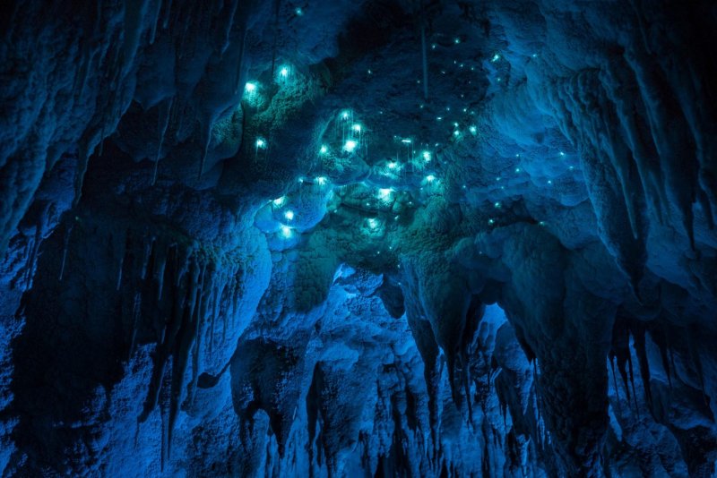 Пещеры Вайтомо новая Зеландия