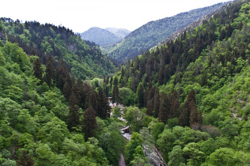 Грузия гора Боржом