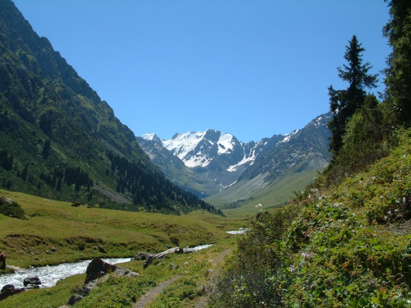 Вершины в Геналдонском ущелье Северная Осетия