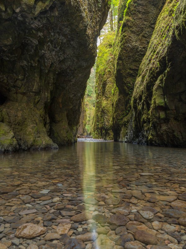 Ущелье Онеонта штат Орегон