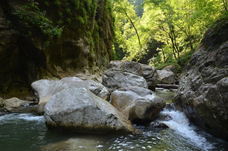 Слияние двух рек Гега и Бзыбь Абхазия