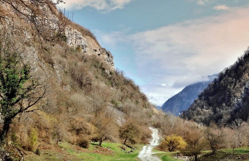 Ущелье Бзыбь Абхазия