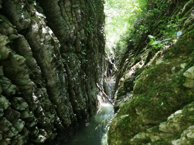 Канатная дорога Гуамское ущелье