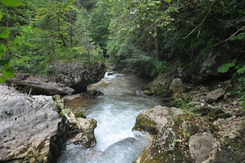 Гуамское ущелье река Курджипс