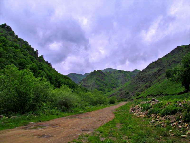 Закинское ущелье Северной Осетии