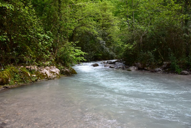 Гагрипшское ущелье Абхазия