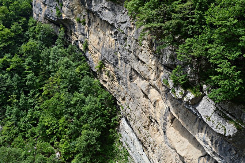 Гагрипшское ущелье Абхазия
