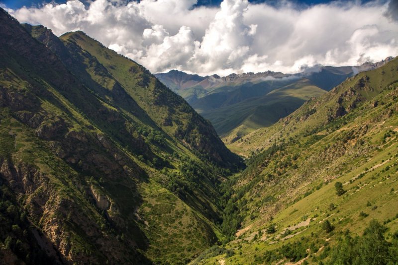 Горные ущелья Кавказа