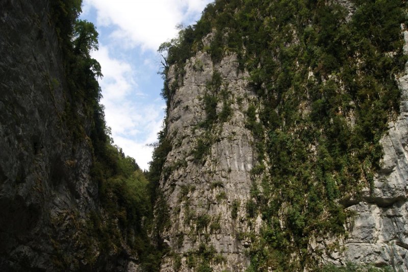 Юпшарский каньон Абхазия Википедия