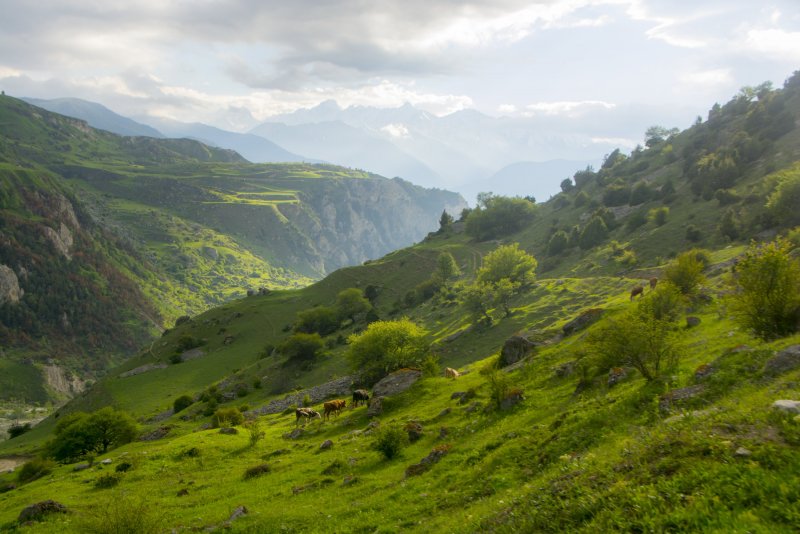 Северная Осетия Фиагдонское ущелье