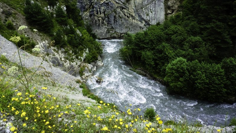 Ущелье в горах Кавказа