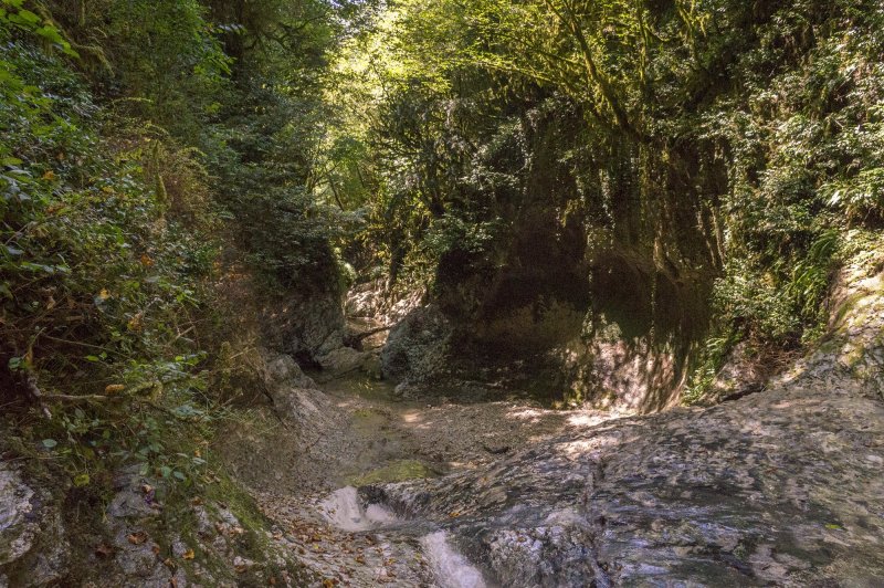 Река Кодори в Абхазии