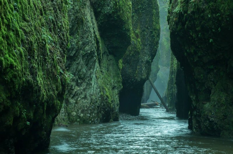 Ущелье реки Колумбия