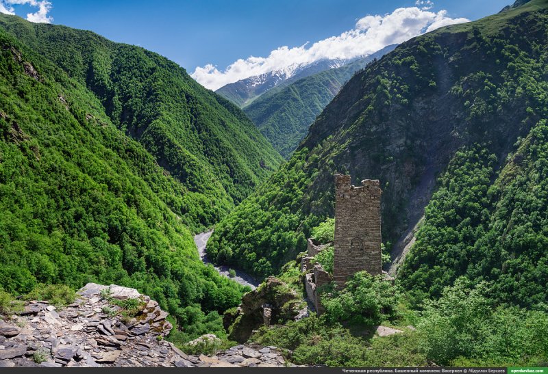 Чеченская Республика Аргунское ущелье